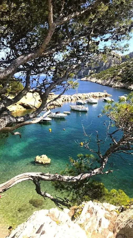 Le Sept Charmant Studio Aux Portes Des Calanques Cassis